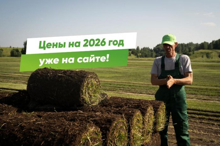 Опубликованы цены на рулонный газон в сезоне 2026